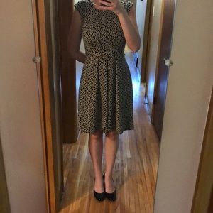 Maggy London Natural Waist Work Dress